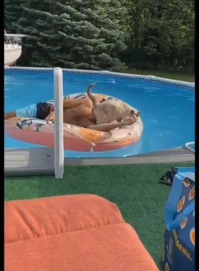 Cats are natural snipers when it comes to precision..