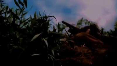 Highway '45 [Source: Romans Gibson]