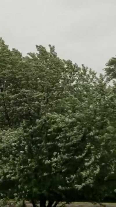 The rain isn't too bad but the wind today is crazy