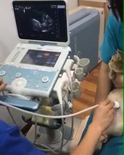 A kitty ultrasound