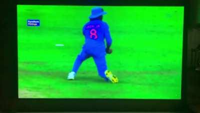 What a catch! Jaddu 👏