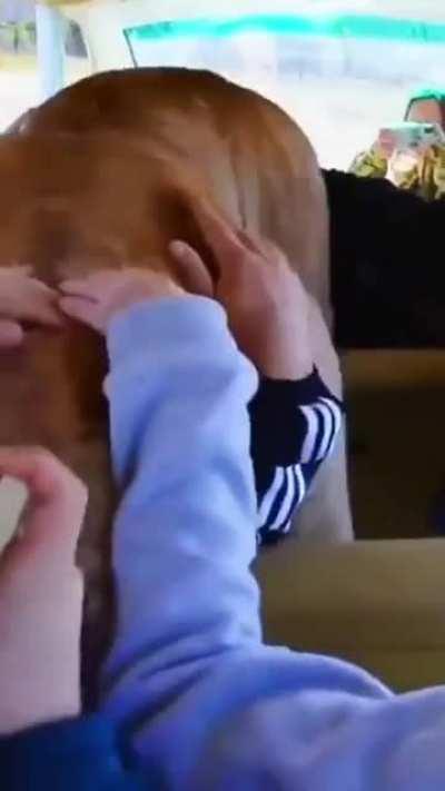 ViCiOuS bEaSt MaUlS pASsEnGeRs To DeAtH!