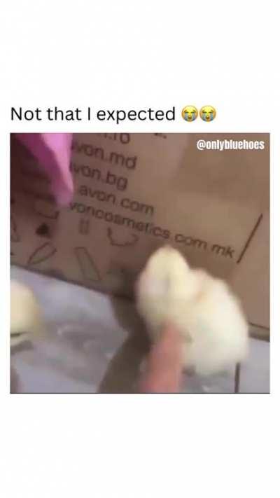 He wrong for this...