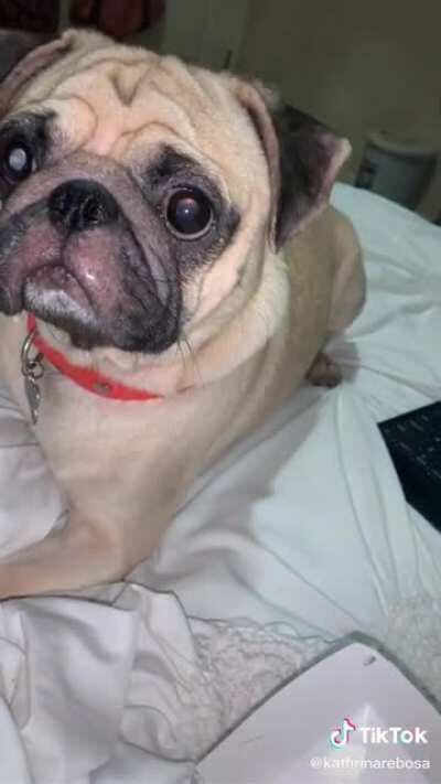 This was so adorable