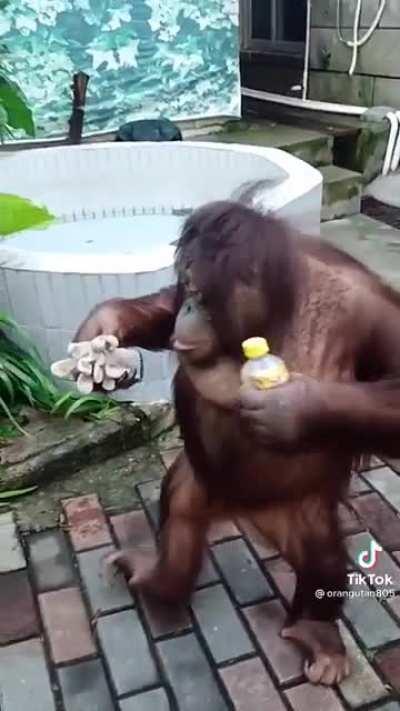 Me waking up and going to work every morning knowing I will hodl until GME moons.