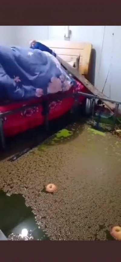 This is my favorite video.