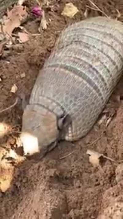 Бля, обосраться можно