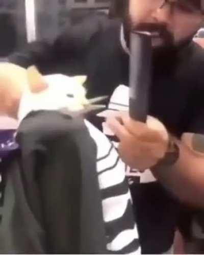 Yuumi getting honored for doing the bare minimum