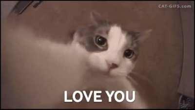 I sent this to my wife when she had a time, i think she got a little bit better