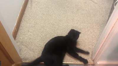 Then drop on the deck and flop like a fish!