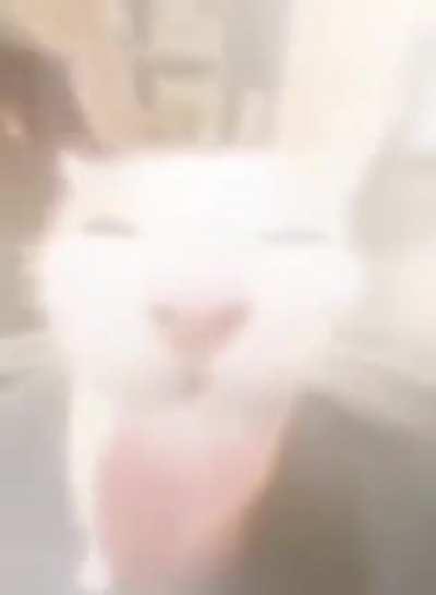 I'm 15 and this is yeet