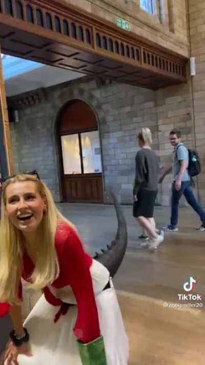 Have you ever read “The Lusty Argonian maid”?