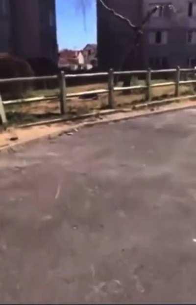 Man falls off tall building and continues to twitch on the ground