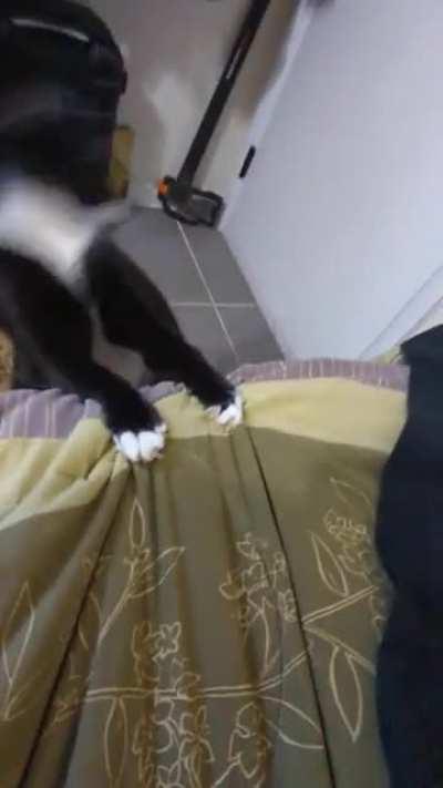 Mission failed, Hooman set a trap!