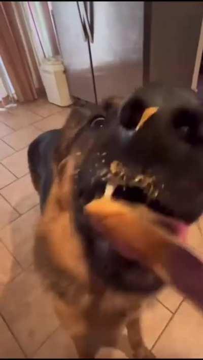 If you are feeling sad here is the video for you