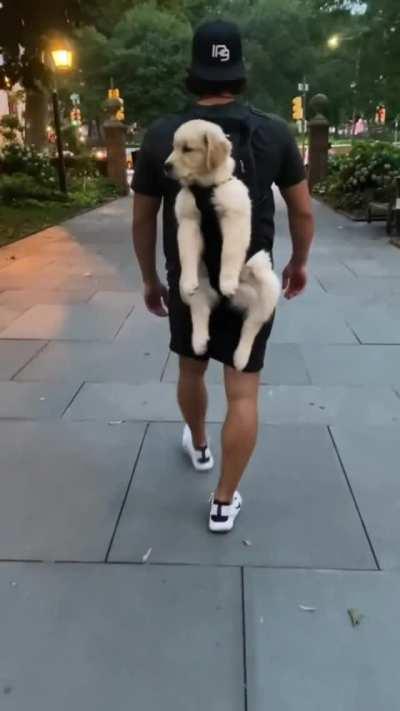 For those who do not like to walk...