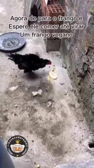 Receitinha de frango vegano