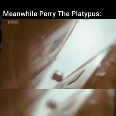 Rcb are chokers, mi dc has better squad.