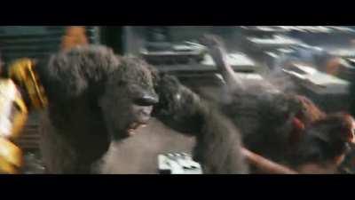 folded like an omelet