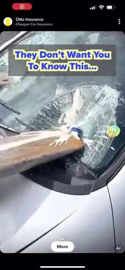 They Don’t Want You to Know This