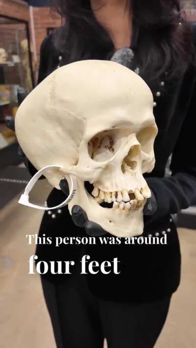 Rare specimens we have on display