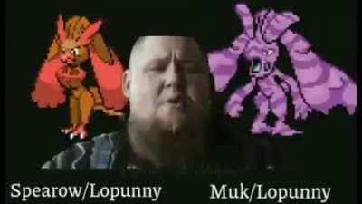 Cual es el pokemon fav de dark?