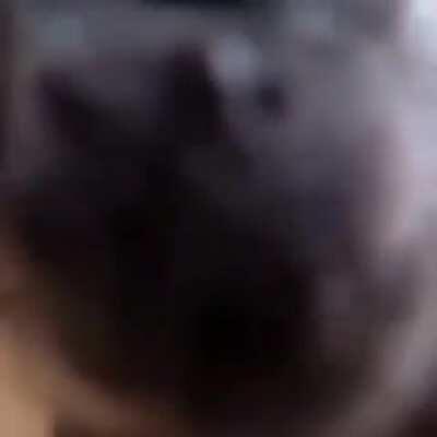 Esta va pal chat offline 😎