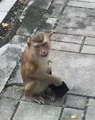 Let me show you how to wear a mask