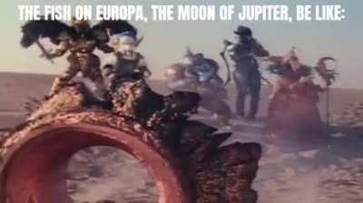 Best Character will come to Earth in 2024