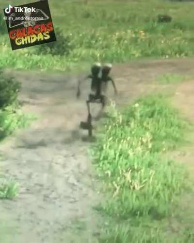 La calaca tiene razón joder