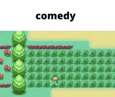 Now this is comedy caw caw, better than a crow account caw caw