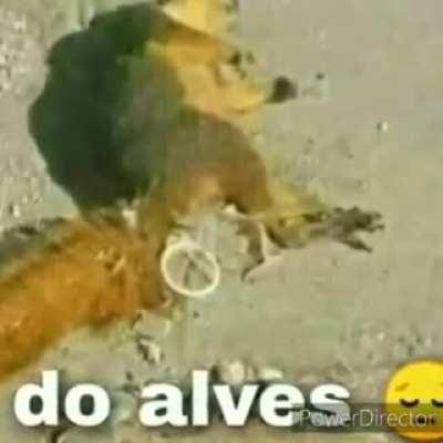 Esse vídeo me dá um sensação estranha mas ainda é engraçado