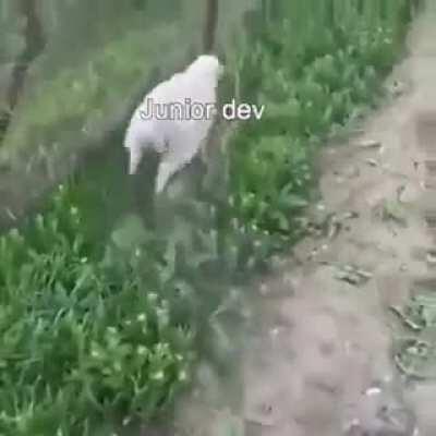 The pitfalls of a legacy codebase