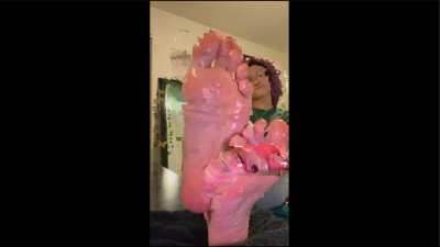 Succulent Pink Soles