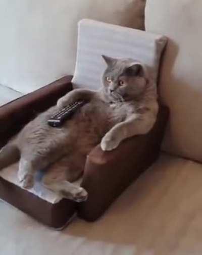 ladies and gentleman, the weekend! enti plans ?