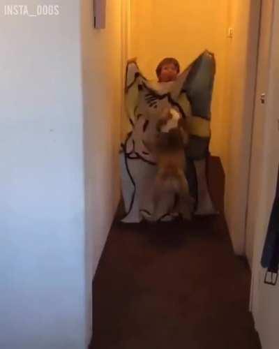 Nope not today human