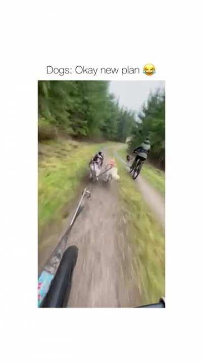 yes yes yes yes oh no