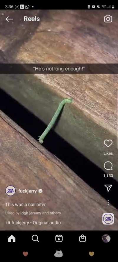 Some lads appreciating the small things