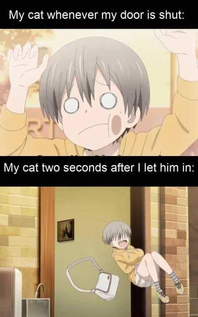 Let me in. LET ME IN!!!