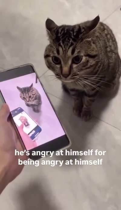 is,ojwxkn3dj3l1k2xrjbxjle😡😡😡😡