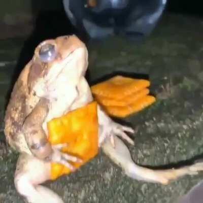 day n nite phrog (SFW)