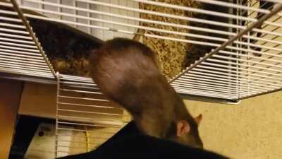 She always tries, and it never works.