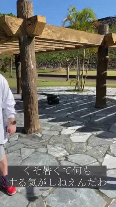 wait for the Japanese gravure model to come in the scene