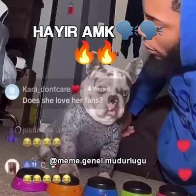 HA-HA-HAYIR AMK 🗣️🗣️🔥🔥
