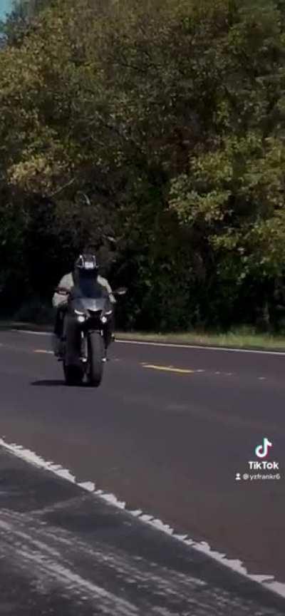 Little yamaha action