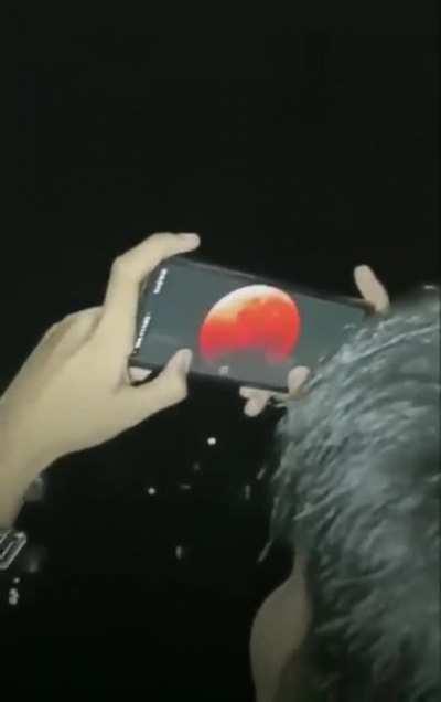 Smartphone cameras these days are ridiculous