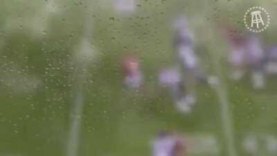 Andy Reid POV from last KC touchdown