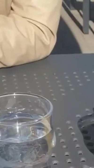 Kelly mit Anhang in Amsterdam