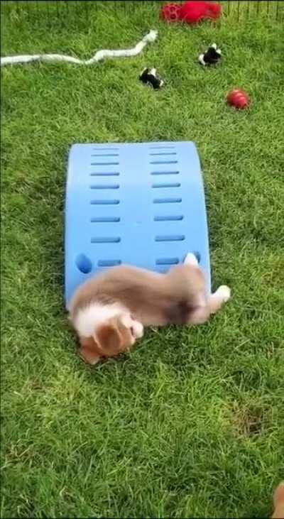 Когда душа ещё хочет играть, но тело уже хочет спать