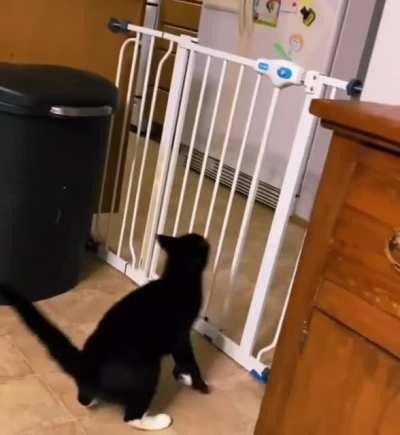 To make jump your body, have to recoil first